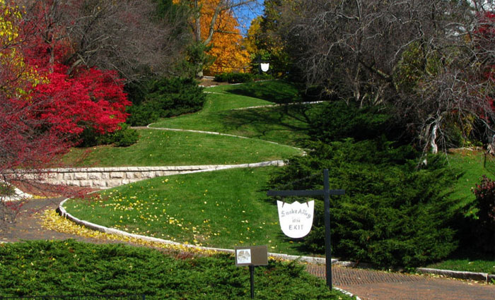 Snake Alley Autumn