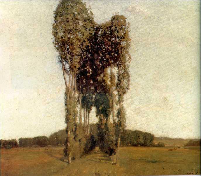 landscape with poplars